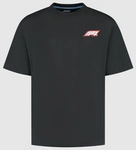 Formula 1 Men's F1 Heritage LogoT-shirt - Black