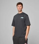 Formula 1 Men's F1 Legacy Graphic T-shirt - Black