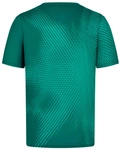 Aston Martin F1 Team Men's Burst Active T-shirt - Green