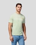 McLaren F1 Team Men's Core Essentials T-Shirt - Smoke Green