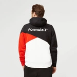 Formula 1 Cut and Sew Sweatshirt