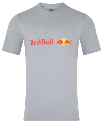 Red Bull Racing F1 Men's Large Logo T-Shirt - Gray
