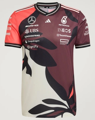 adidas Mercedes-AMG Petronas F1 Men's Authentic Driver T-shirt - Multicolor