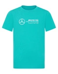 Mercedes AMG Petronas F1 Team Kids Large Logo T-shirt 