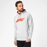 Men's Formula 1 Logo sweatshirt grey