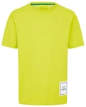 Aston Martin F1 Team Men's Logo T-shirt - Lime