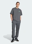 Mercedes AMG Petronas F1 adidas Premium Pants - Gray